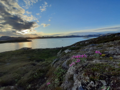 Weekend i Tasiussarsuaq
