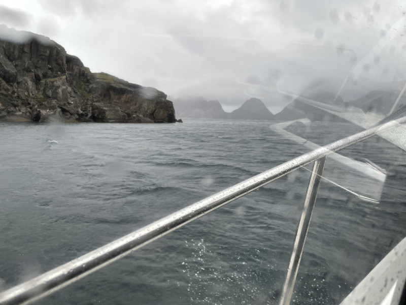 Moskusjagt i Kangerlussuaq 2021. Fangede 2 store dyr. Alu, Maren og Søren afsted. Mødtes med Kim og Jaaku.