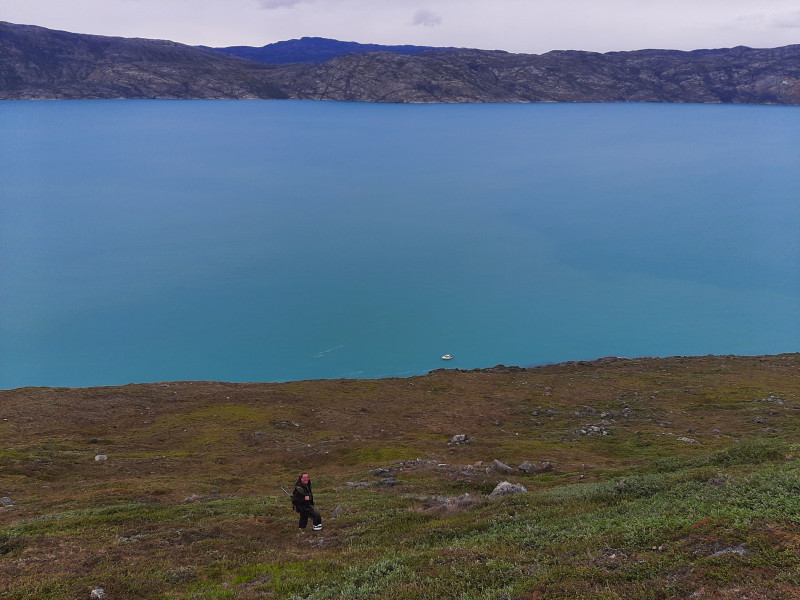 Moskusjagt i Kangerlussuaq 2021. Fangede 2 store dyr. Alu, Maren og Søren afsted. Mødtes med Kim og Jaaku.