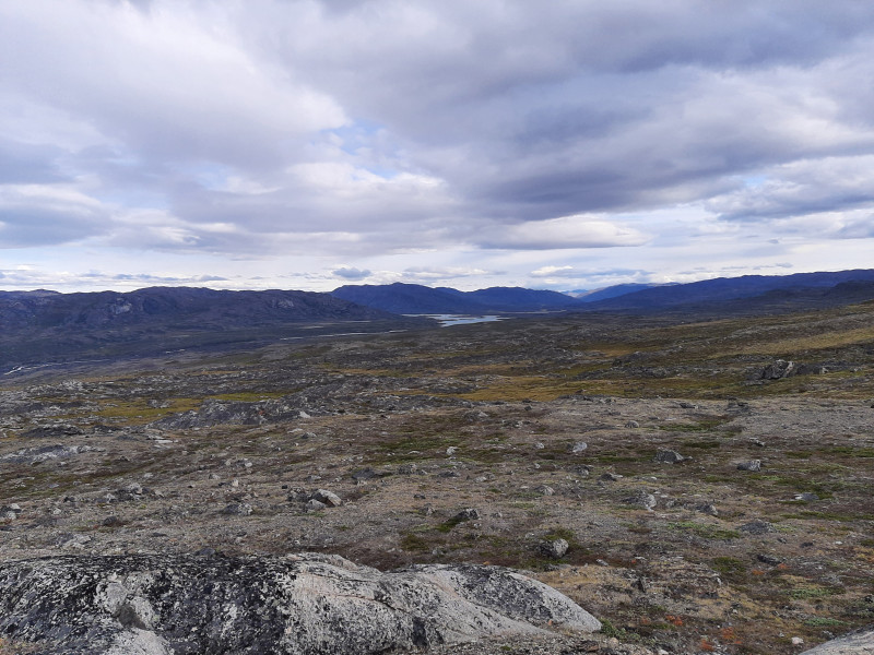 Moskusjagt i Kangerlussuaq 2021. Fangede 2 store dyr. Alu, Maren og Søren afsted. Mødtes med Kim og Jaaku.