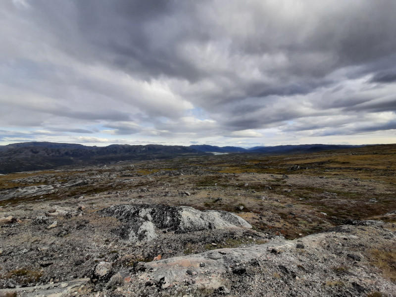 Moskusjagt i Kangerlussuaq 2021. Fangede 2 store dyr. Alu, Maren og Søren afsted. Mødtes med Kim og Jaaku.