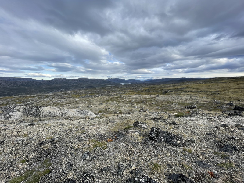 Moskusjagt i Kangerlussuaq 2021. Fangede 2 store dyr. Alu, Maren og Søren afsted. Mødtes med Kim og Jaaku.