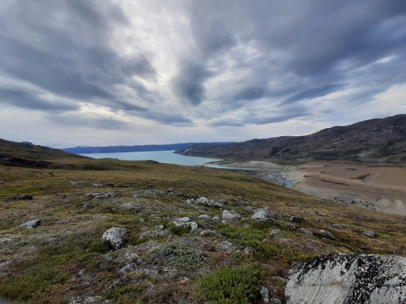 Moskusjagt i Kangerlussuaq 2021. Fangede 2 store dyr. Alu, Maren og Søren afsted. Mødtes med Kim og Jaaku.