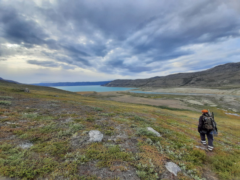 Moskusjagt i Kangerlussuaq 2021. Fangede 2 store dyr. Alu, Maren og Søren afsted. Mødtes med Kim og Jaaku.
