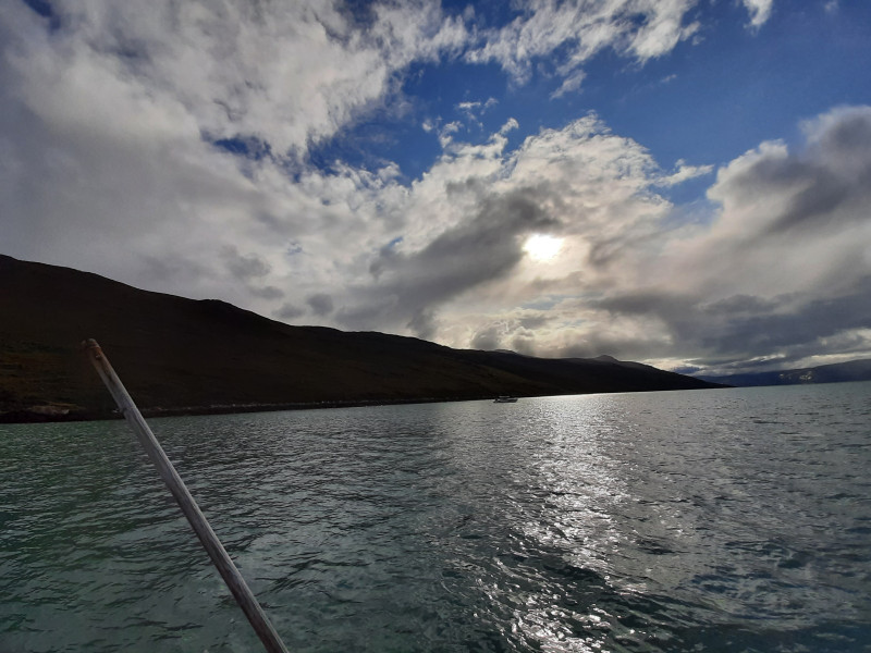 Moskusjagt i Kangerlussuaq 2021. Fangede 2 store dyr. Alu, Maren og Søren afsted. Mødtes med Kim og Jaaku.