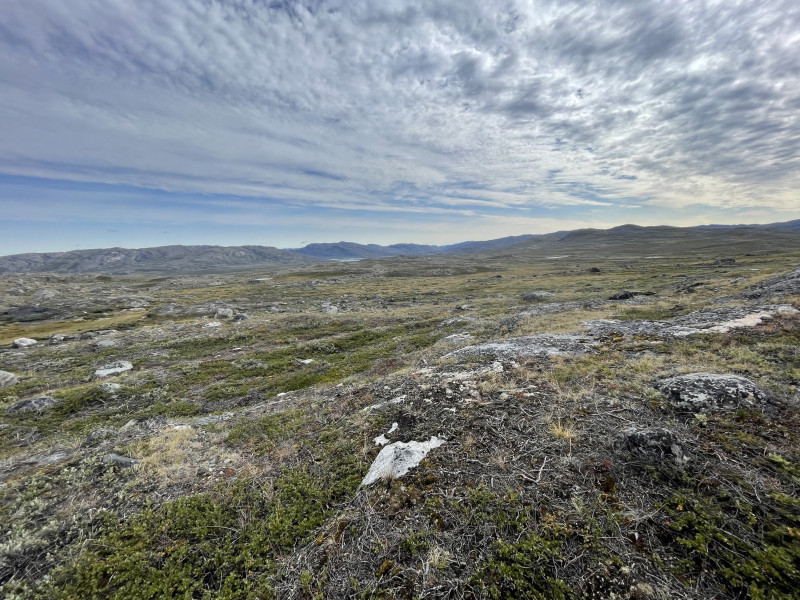 Moskusjagt i Kangerlussuaq 2021. Fangede 2 store dyr. Alu, Maren og Søren afsted. Mødtes med Kim og Jaaku.