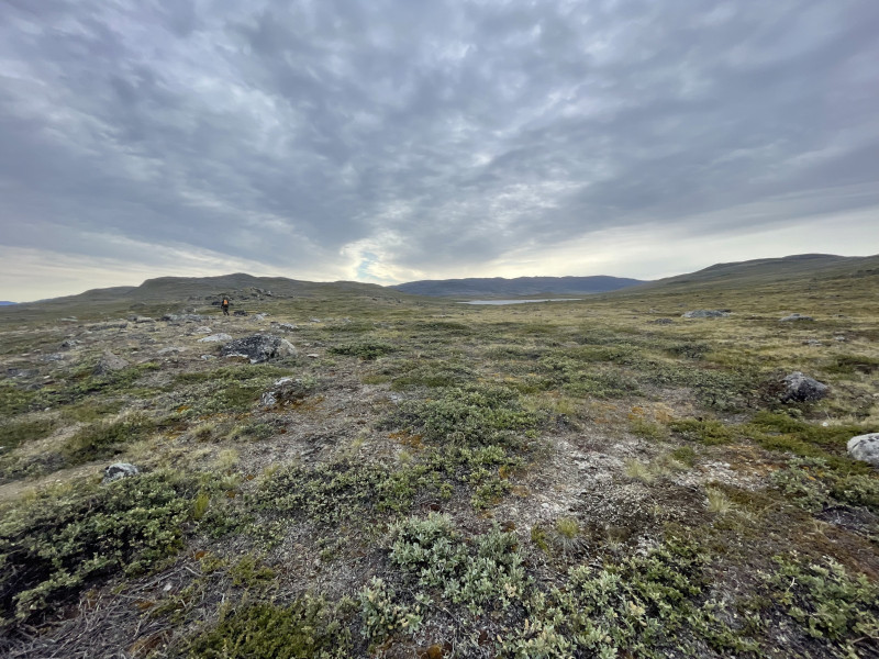 Moskusjagt i Kangerlussuaq 2021. Fangede 2 store dyr. Alu, Maren og Søren afsted. Mødtes med Kim og Jaaku.