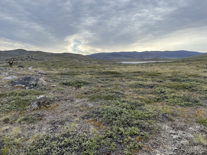 Moskusjagt i Kangerlussuaq 2021. Fangede 2 store dyr. Alu, Maren og Søren afsted. Mødtes med Kim og Jaaku.