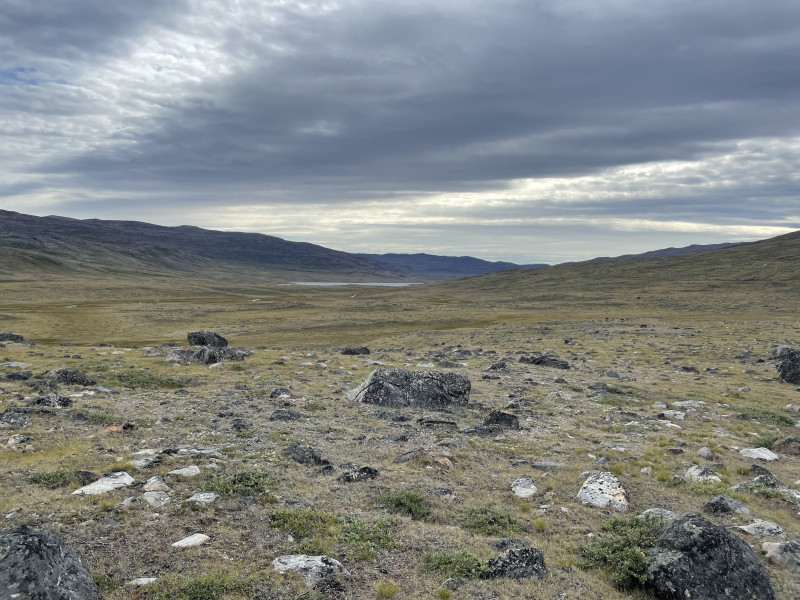 Moskusjagt i Kangerlussuaq 2021. Fangede 2 store dyr. Alu, Maren og Søren afsted. Mødtes med Kim og Jaaku.