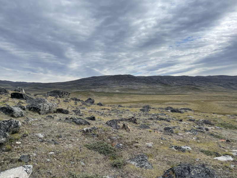 Moskusjagt i Kangerlussuaq 2021. Fangede 2 store dyr. Alu, Maren og Søren afsted. Mødtes med Kim og Jaaku.