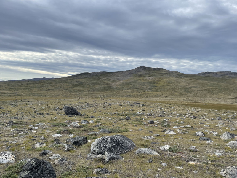 Moskusjagt i Kangerlussuaq 2021. Fangede 2 store dyr. Alu, Maren og Søren afsted. Mødtes med Kim og Jaaku.