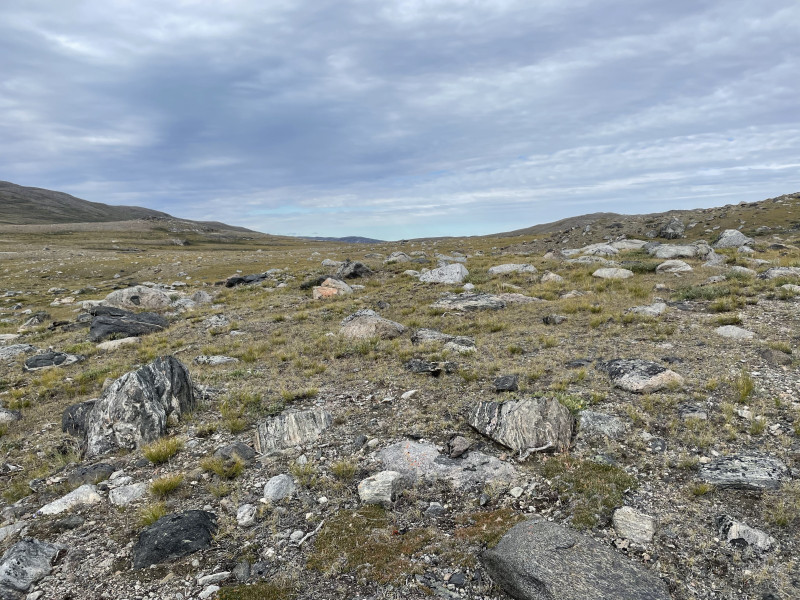 Moskusjagt i Kangerlussuaq 2021. Fangede 2 store dyr. Alu, Maren og Søren afsted. Mødtes med Kim og Jaaku.