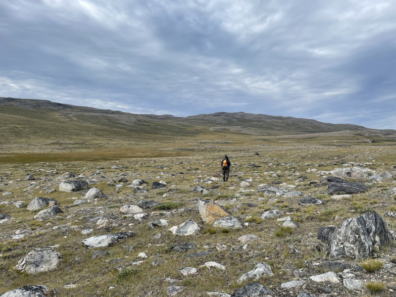 Moskusjagt i Kangerlussuaq 2021. Fangede 2 store dyr. Alu, Maren og Søren afsted. Mødtes med Kim og Jaaku.
