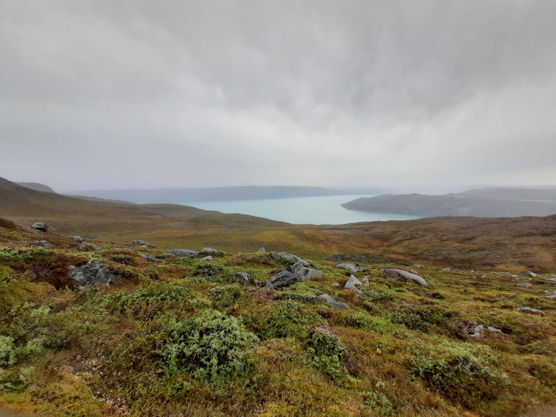 Moskusjagt i Kangerlussuaq 2021. Fangede 2 store dyr. Alu, Maren og Søren afsted. Mødtes med Kim og Jaaku.