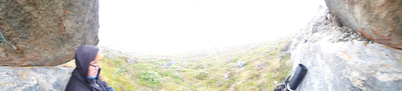 Moskusjagt i Kangerlussuaq 2021. Fangede 2 store dyr. Alu, Maren og Søren afsted. Mødtes med Kim og Jaaku.