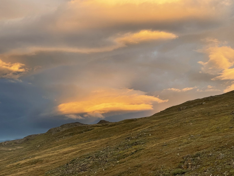 Moskusjagt i Kangerlussuaq 2021. Fangede 2 store dyr. Alu, Maren og Søren afsted. Mødtes med Kim og Jaaku.