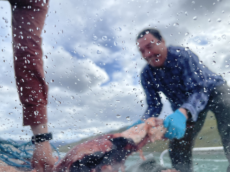 Moskusjagt i Kangerlussuaq 2021. Fangede 2 store dyr. Alu, Maren og Søren afsted. Mødtes med Kim og Jaaku.