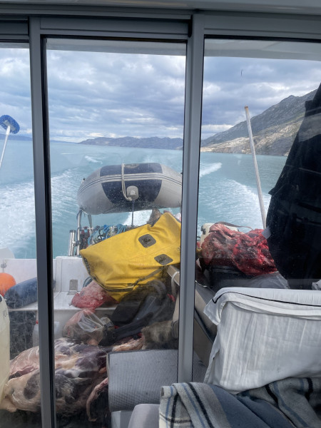 Moskusjagt i Kangerlussuaq 2021. Fangede 2 store dyr. Alu, Maren og Søren afsted. Mødtes med Kim og Jaaku.