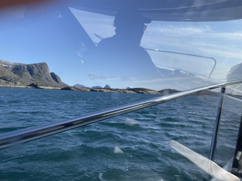 Moskusjagt i Kangerlussuaq 2021. Fangede 2 store dyr. Alu, Maren og Søren afsted. Mødtes med Kim og Jaaku.