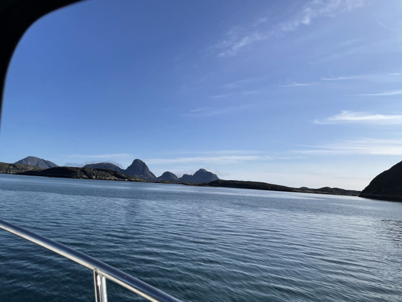 Moskusjagt i Kangerlussuaq 2021. Fangede 2 store dyr. Alu, Maren og Søren afsted. Mødtes med Kim og Jaaku.