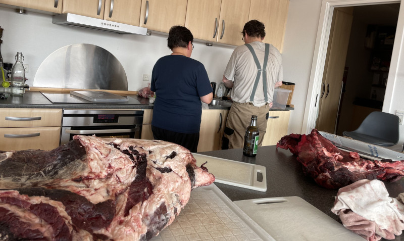 Moskusjagt i Kangerlussuaq 2021. Fangede 2 store dyr. Alu, Maren og Søren afsted. Mødtes med Kim og Jaaku.