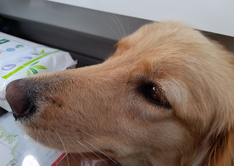 2021-09-22-1340_Emily