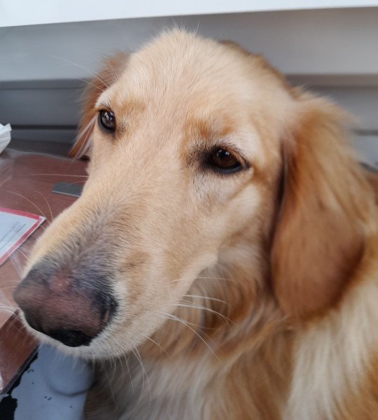 2021-09-22-1340_Emily_2