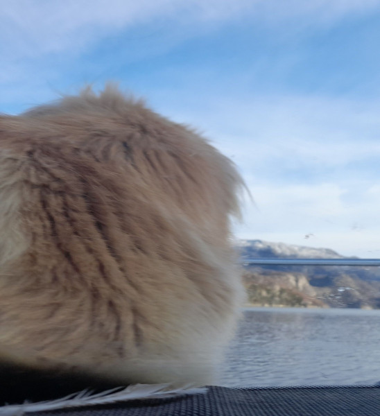 2021-09-22-1657_Emily