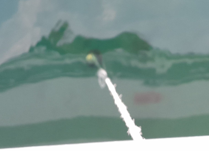 Champagnen er på køl