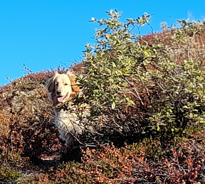 2021-09-23-1058_Emily