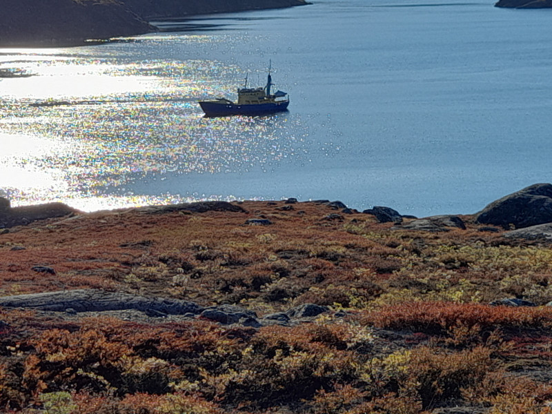 2021-09-23-1109_Tulu