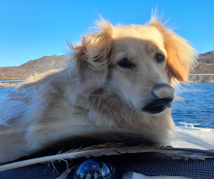 2021-09-23-1528_Emily_2