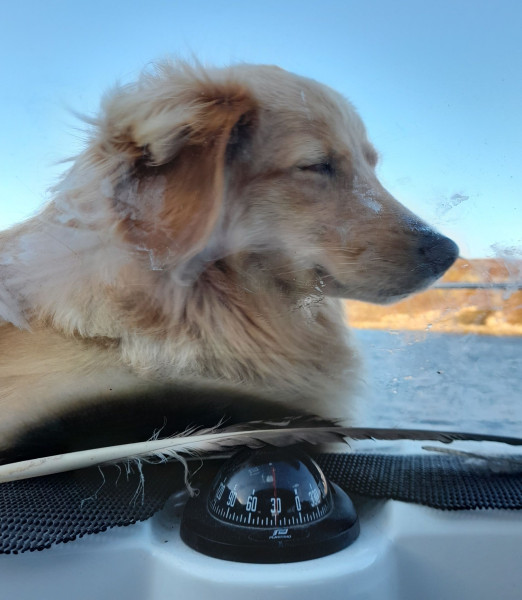 2021-09-23-1640_Emily_2