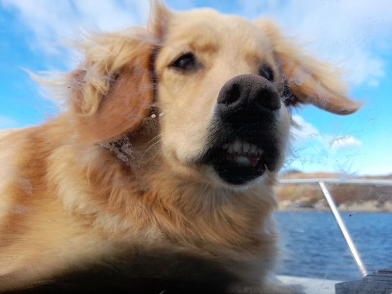 2021-09-24-1516_Emily