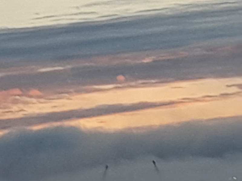 2021-09-06-2019_-