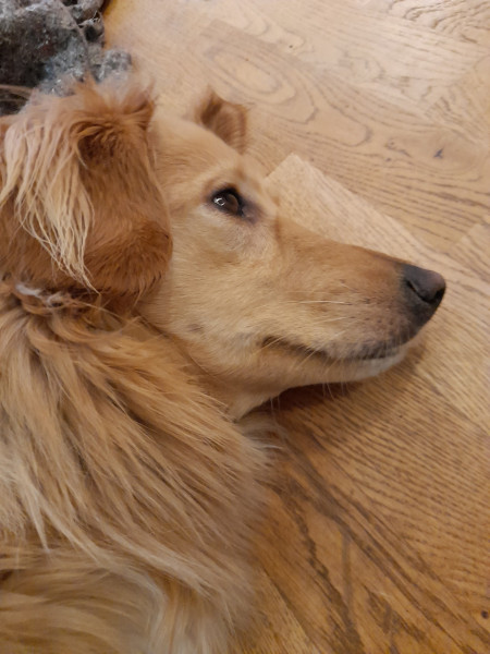 2021_12_01-18_14_35_Emily