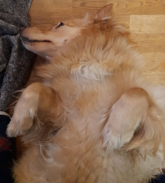 2021_12_01-18_15_07_Emily_1