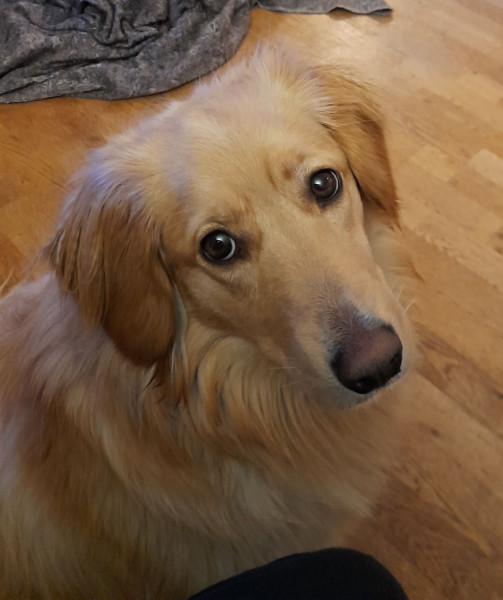 2021_12_01-18_16_09_Emily_2