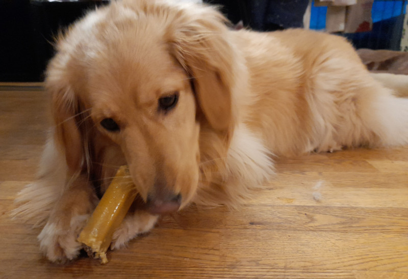 2021_12_17-16_25_09_Emily_3