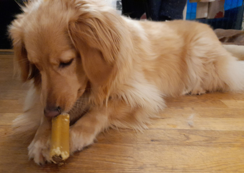 2021_12_17-16_25_15_Emily_4