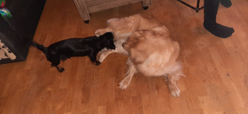 Nytårsaften 2021-22