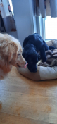 2022-01-16-1357_Alma-Bedste_2-Emily-Gode_1