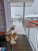 2022-04-29-1236_Emily-Gode_1