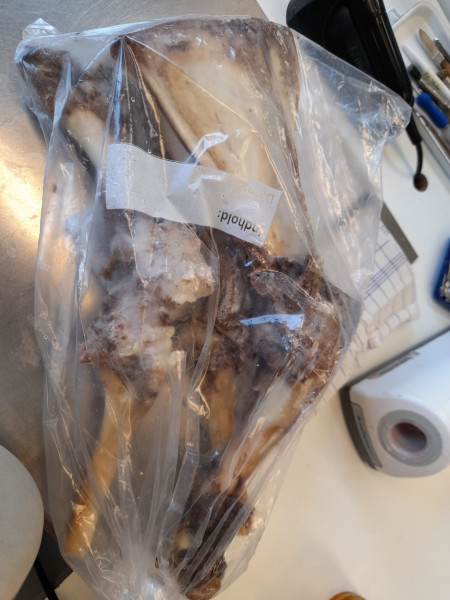 Godt med gode hundevenner som kommer med kikka