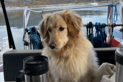 1_2022-09-10-1048_Gode_1-Hund_Emily
